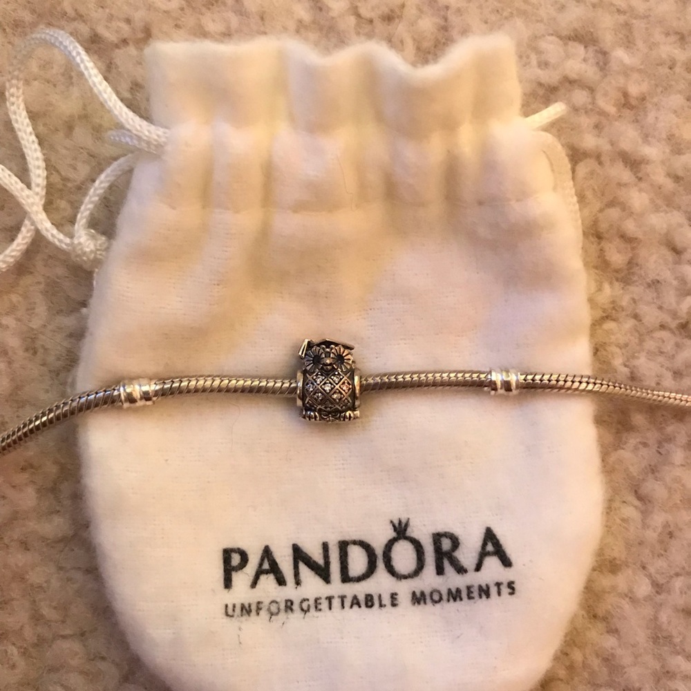 Pandora Graduate Owl Charm
